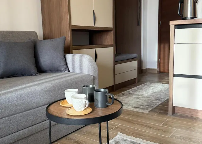 Fashion Hill コパオニク