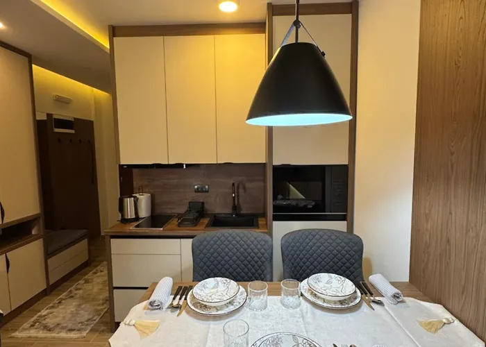 Fashion Hill アパート コパオニク